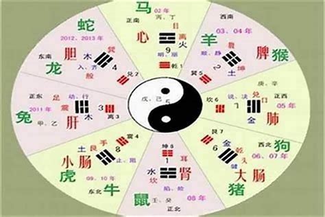 胡 五行|胡五行属什么的属性